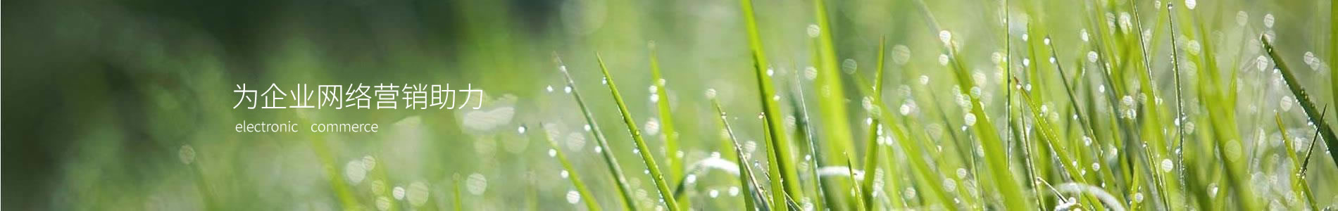 ݺƺе豸޹˾